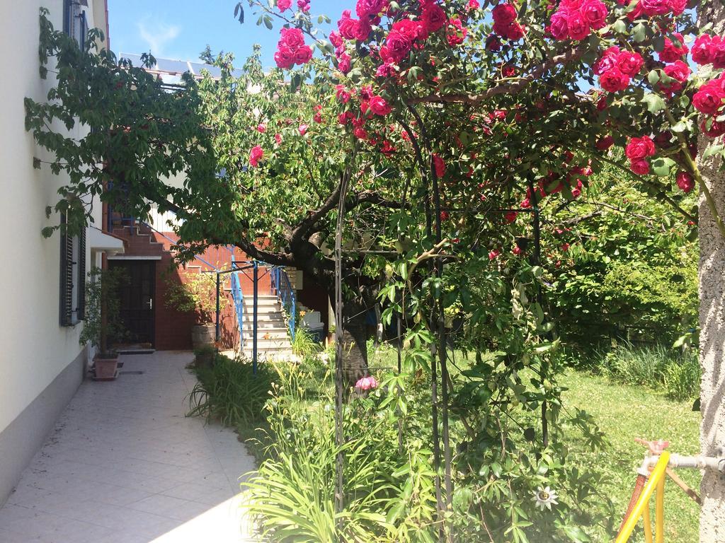 בפורטורוז Apartments And Rooms Knez מראה חיצוני תמונה